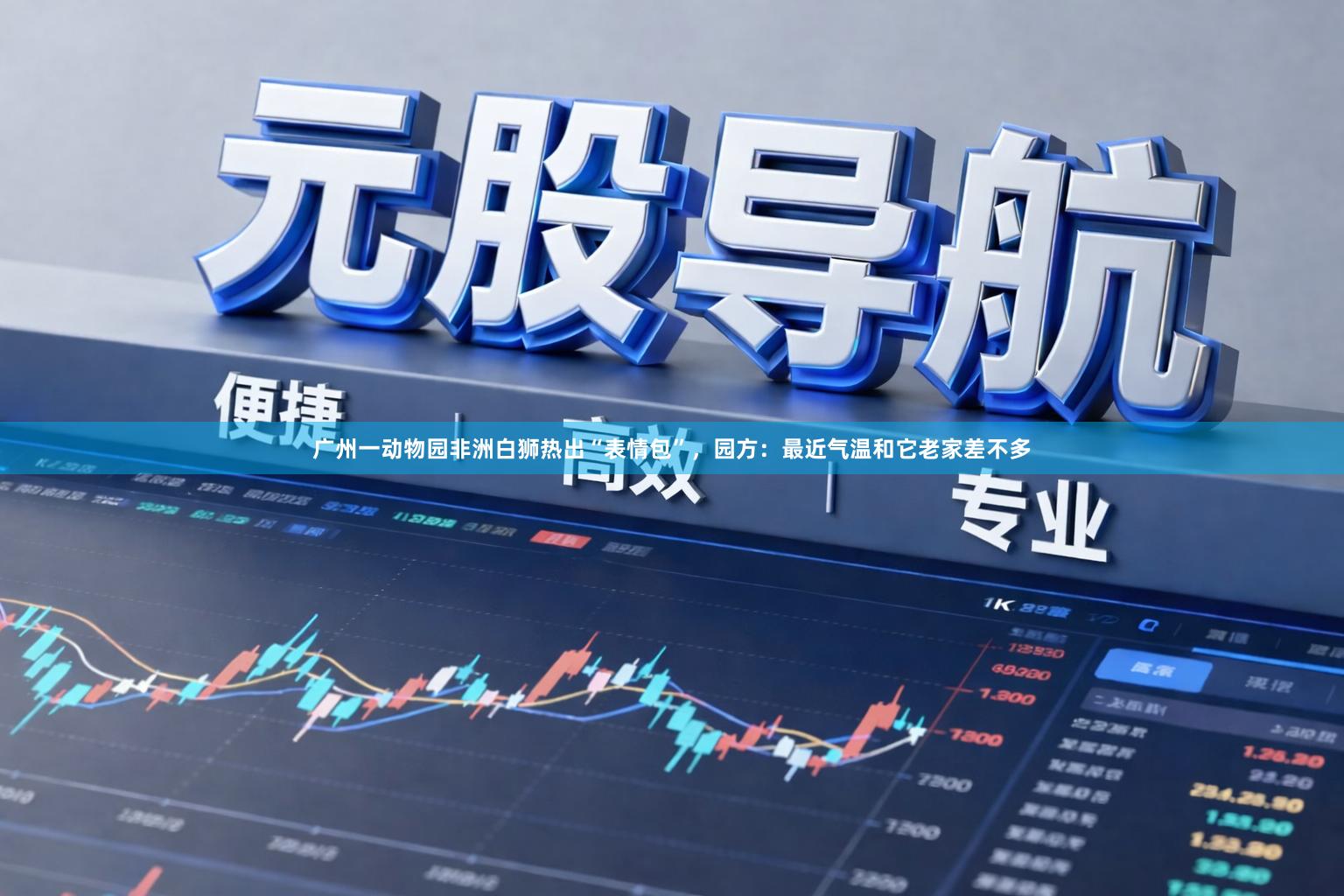 广州一动物园非洲白狮热出“表情包”，园方：最近气温和它老家差不多