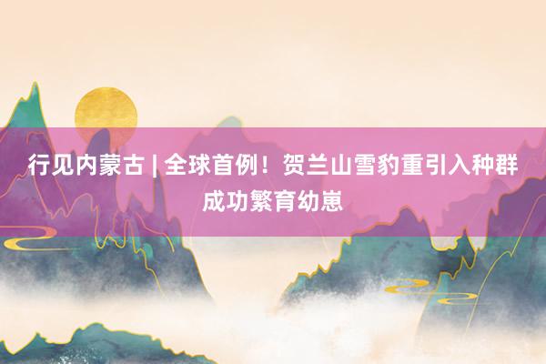 行见内蒙古 | 全球首例！贺兰山雪豹重引入种群成功繁育幼崽