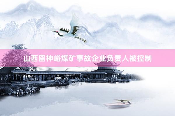 山西留神峪煤矿事故企业负责人被控制