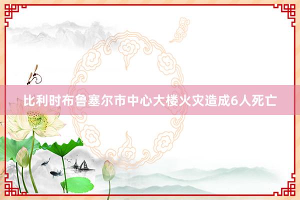 比利时布鲁塞尔市中心大楼火灾造成6人死亡