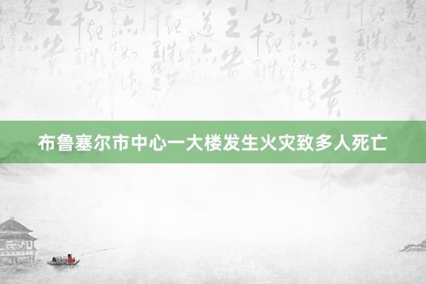 布鲁塞尔市中心一大楼发生火灾致多人死亡