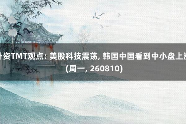 外资TMT观点: 美股科技震荡, 韩国中国看到中小盘上涨 (周一, 260810)