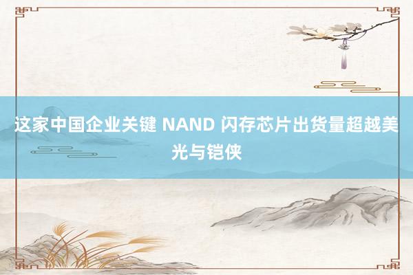 这家中国企业关键 NAND 闪存芯片出货量超越美光与铠侠