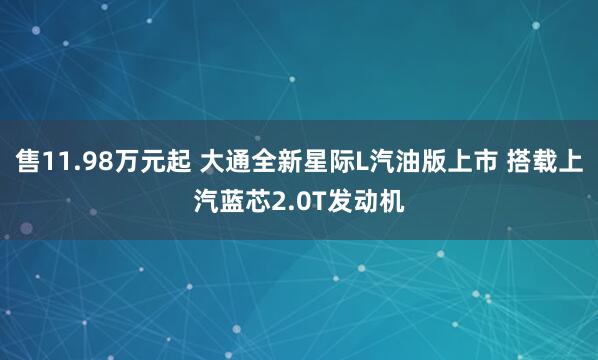 售11.98万元起 大通全新星际L汽油版上市 搭载上汽蓝芯2.0T发动机