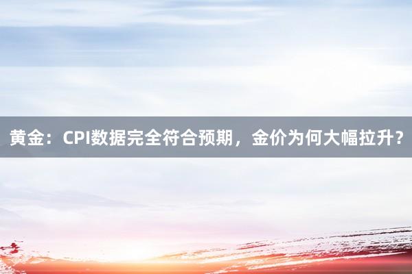 黄金：CPI数据完全符合预期，金价为何大幅拉升？