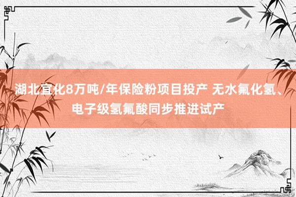 湖北宜化8万吨/年保险粉项目投产 无水氟化氢、电子级氢氟酸同步推进试产