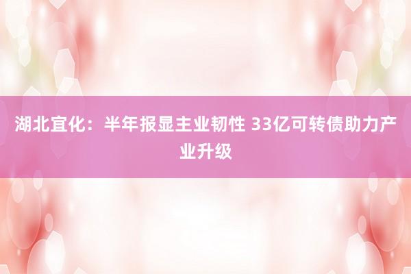 湖北宜化：半年报显主业韧性 33亿可转债助力产业升级