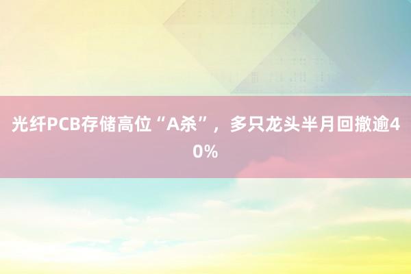 光纤PCB存储高位“A杀”，多只龙头半月回撤逾40%