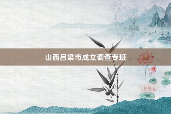 山西吕梁市成立调查专班
