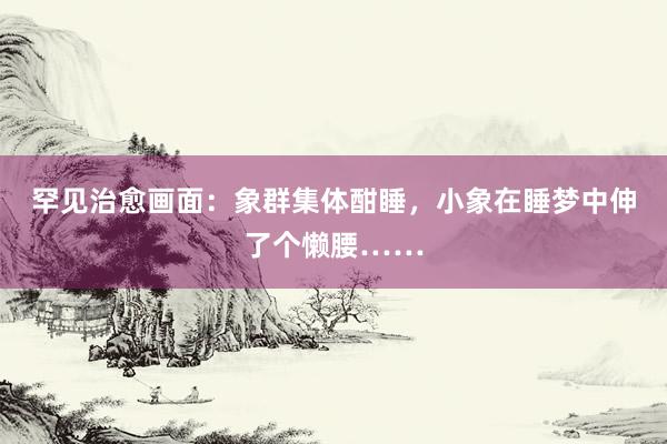 罕见治愈画面：象群集体酣睡，小象在睡梦中伸了个懒腰……