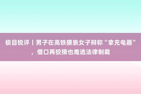 极目锐评丨男子在高铁猥亵女子辩称“拿充电器”，借口再狡猾也难逃法律制裁