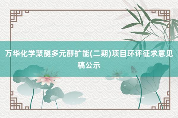 万华化学聚醚多元醇扩能(二期)项目环评征求意见稿公示