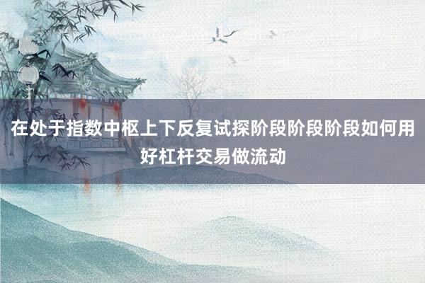 在处于指数中枢上下反复试探阶段阶段阶段如何用好杠杆交易做流动
