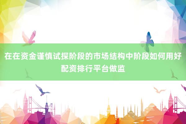 在在资金谨慎试探阶段的市场结构中阶段如何用好配资排行平台做监
