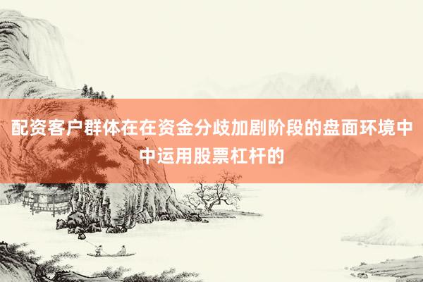 配资客户群体在在资金分歧加剧阶段的盘面环境中中运用股票杠杆的