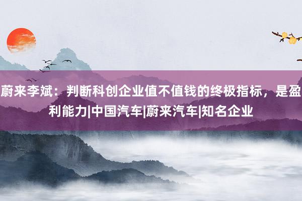蔚来李斌：判断科创企业值不值钱的终极指标，是盈利能力|中国汽车|蔚来汽车|知名企业