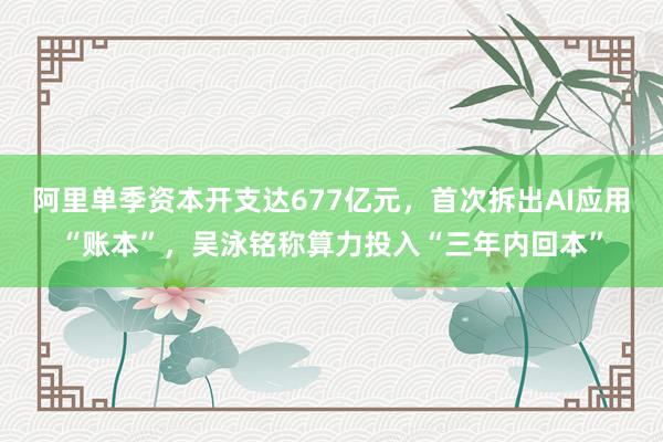 阿里单季资本开支达677亿元，首次拆出AI应用“账本”，吴泳铭称算力投入“三年内回本”