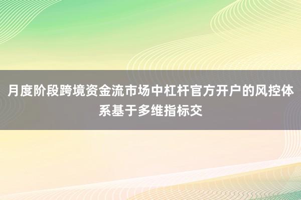 月度阶段跨境资金流市场中杠杆官方开户的风控体系基于多维指标交