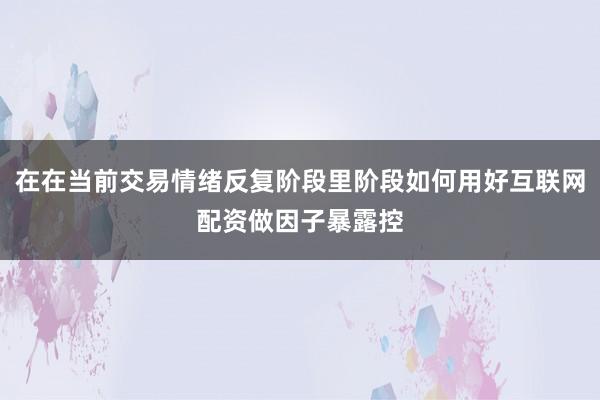 在在当前交易情绪反复阶段里阶段如何用好互联网配资做因子暴露控