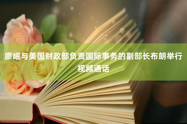 廖岷与美国财政部负责国际事务的副部长布朗举行视频通话