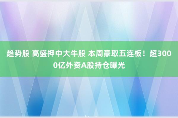 趋势股 高盛押中大牛股 本周豪取五连板！超3000亿外资A股持仓曝光