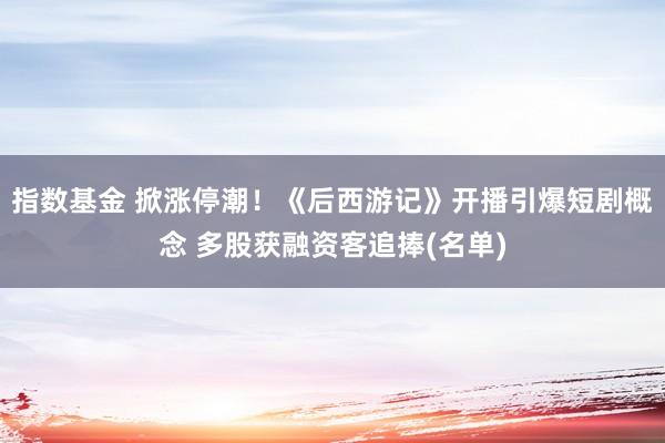 指数基金 掀涨停潮！《后西游记》开播引爆短剧概念 多股获融资客追捧(名单)