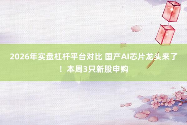 2026年实盘杠杆平台对比 国产AI芯片龙头来了！本周3只新股申购