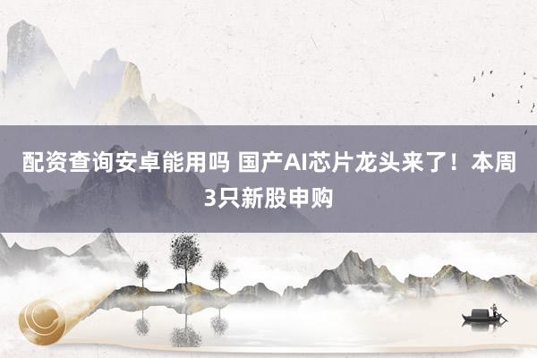 配资查询安卓能用吗 国产AI芯片龙头来了！本周3只新股申购