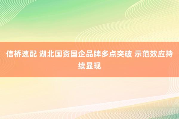 信桥速配 湖北国资国企品牌多点突破 示范效应持续显现