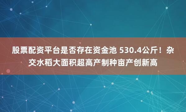 股票配资平台是否存在资金池 530.4公斤！杂交水稻大面积超高产制种亩产创新高
