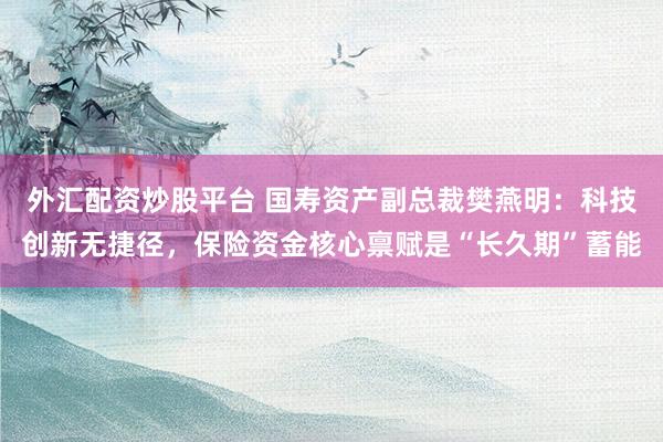 外汇配资炒股平台 国寿资产副总裁樊燕明：科技创新无捷径，保险资金核心禀赋是“长久期”蓄能
