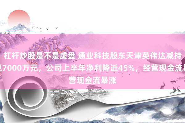 杠杆炒股是不是虚盘 通业科技股东天津英伟达减持套现7000万元，公司上半年净利降近45%，经营现金流暴涨