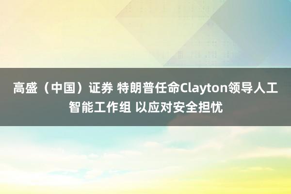 高盛（中国）证券 特朗普任命Clayton领导人工智能工作组 以应对安全担忧
