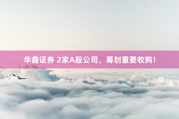 华鑫证券 2家A股公司，筹划重要收购！