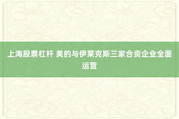 上海股票杠杆 美的与伊莱克斯三家合资企业全面运营