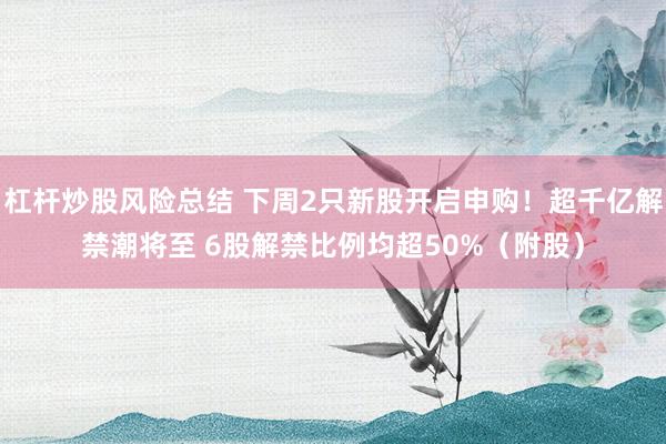杠杆炒股风险总结 下周2只新股开启申购！超千亿解禁潮将至 6股解禁比例均超50%（附股）