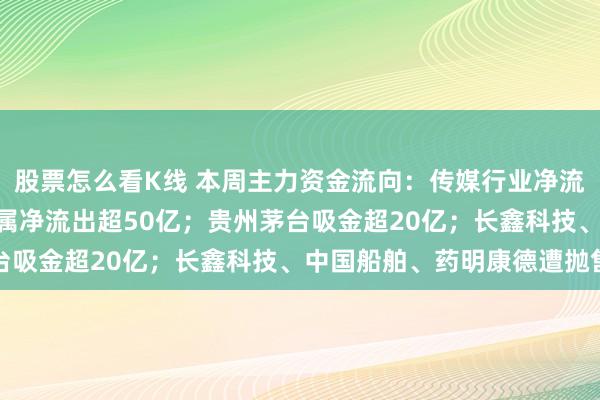 股票怎么看K线 本周主力资金流向：传媒行业净流入超160亿元，有色金属净流出超50亿；贵州茅台吸金超20亿；长鑫科技、中国船舶、药明康德遭抛售