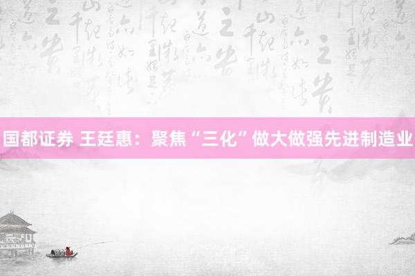 国都证券 王廷惠：聚焦“三化”做大做强先进制造业